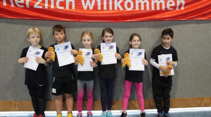 Erfolgreicher Jahresabschluss beim Hallensportfest in Bad König